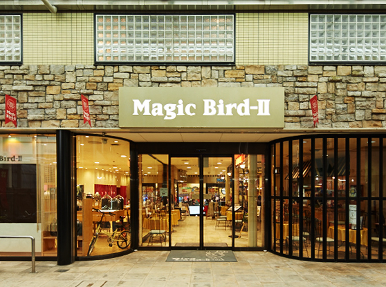 Magic Bird-II